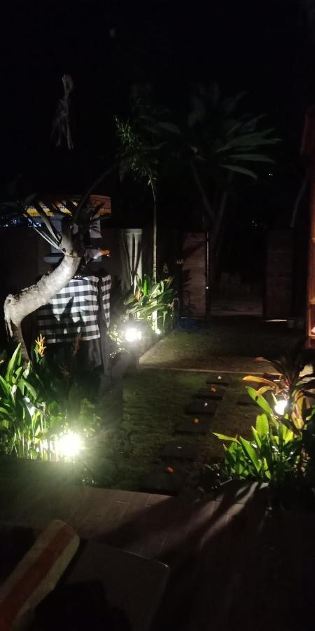 Villa Lumbung Amertha Sari Lovina  Bagian luar foto